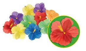  24 Flower Embellishments Hibiscus Costumes in Salmiya