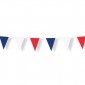 Bunting Tricolor