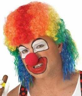  Clown Mullet Wig Costumes in Shuwaikh