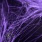 Cobweb 60g Purple with 4 Spiders