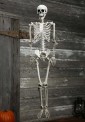 Decoration Skeleton (92 cm)