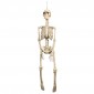 Decoration Skeleton (92 cm)