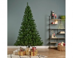 Buy Monarch Pine 240 in Kuwait