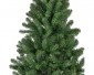 Monarch pine 240