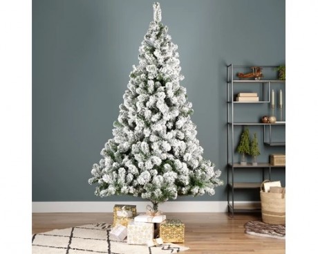 Monarch pine snowy 300