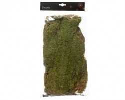 Buy Moss Natural in Kuwait