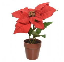 Buy Poinsettia In Pot Polyester in Kuwait