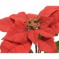 Poinsettia in Pot Polyester