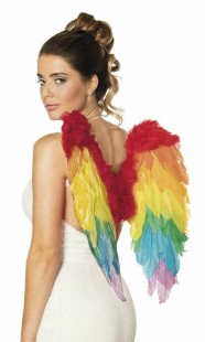  Rainbow Feather Angel Wings  Costumes in Shuwaikh